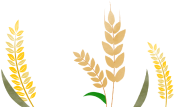 bs.img.alt