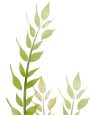 bs.img.alt