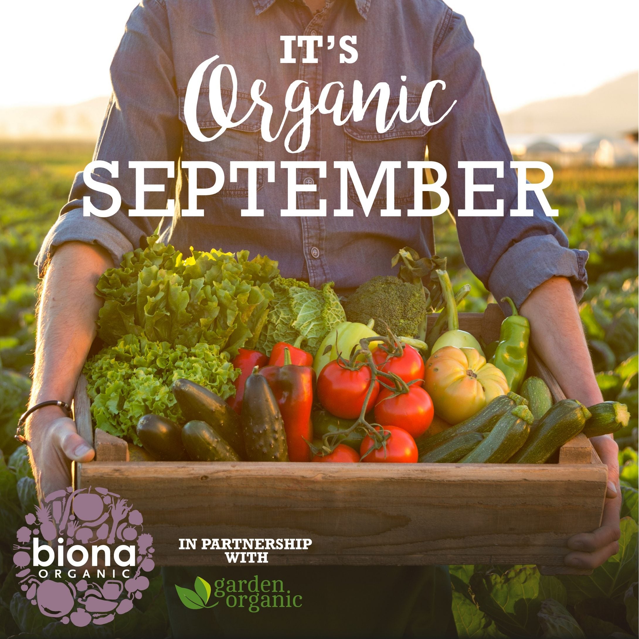 Our Partnership with Garden Organic - the National charity for Organic Growing